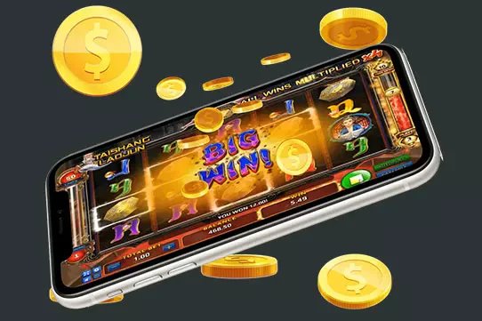 256bet